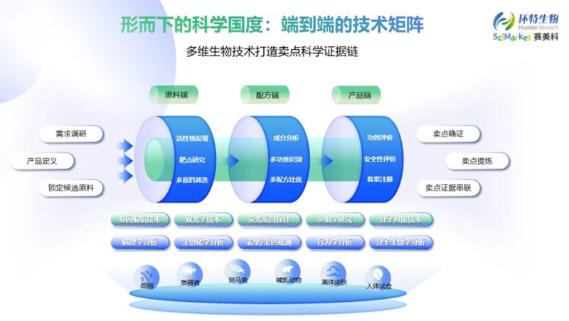 婚宴酒店:打造浪漫与温馨的完美结合