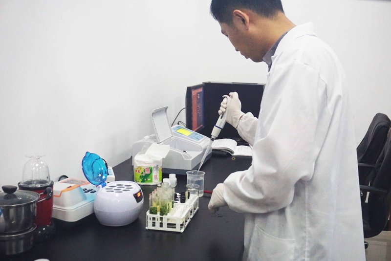 婚宴酒店:打造浪漫与温馨的完美结合